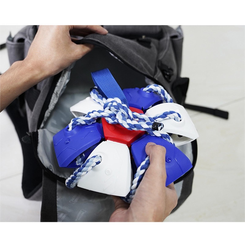 PELOTA FRESBEE PARA PERROS